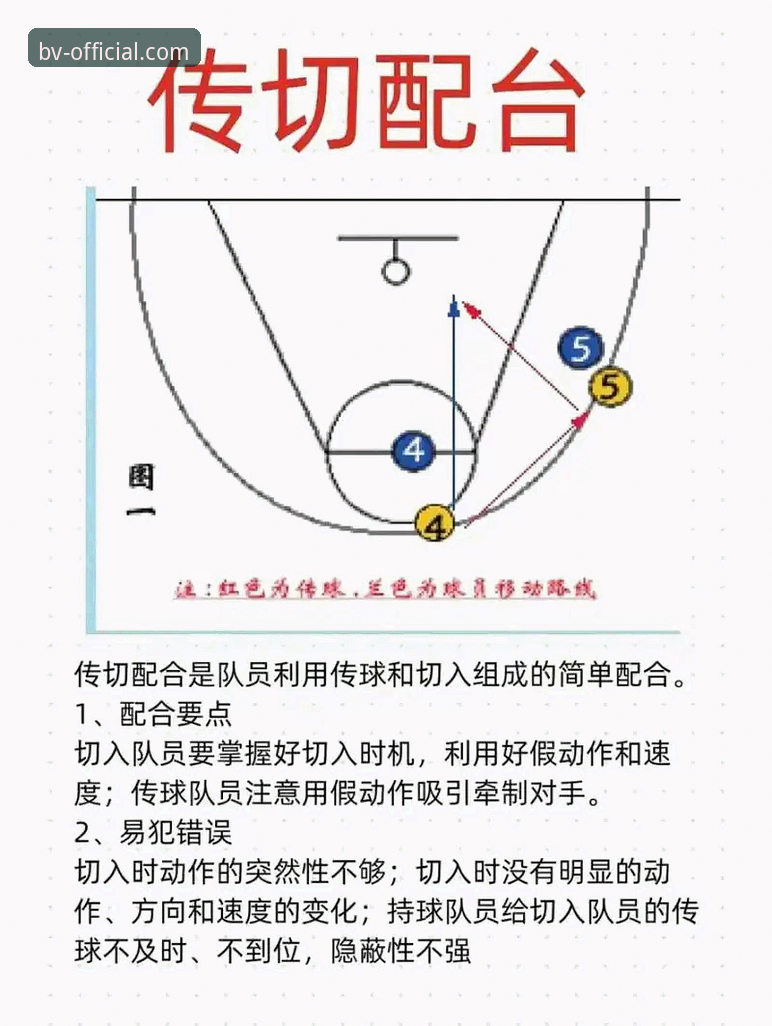 伟德体育正版入口深度解析：老球迷实战经验与操作全攻略